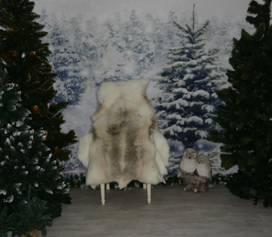 Rentierfell White Star Weiss